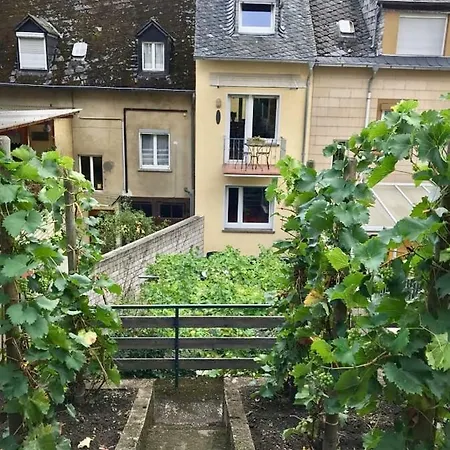 Apartment Ferienhaus Sunny Paradise Zeltingen-Rachtig