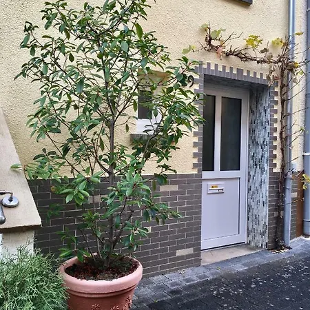Ferienhaus Sunny Paradise Apartment Zeltingen-Rachtig