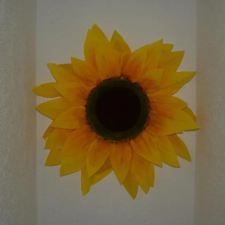Apartment Ferienhaus Sunny Paradise Zeltingen-Rachtig