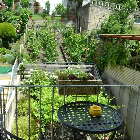 Ferienhaus Sunny Paradise Zeltingen-Rachtig